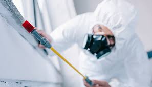 Best Fumigation Services  in Willows, CA